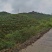 千岛湖浙渝山茶油***山茶油宝宝油月子油野生山茶油美容护肤油