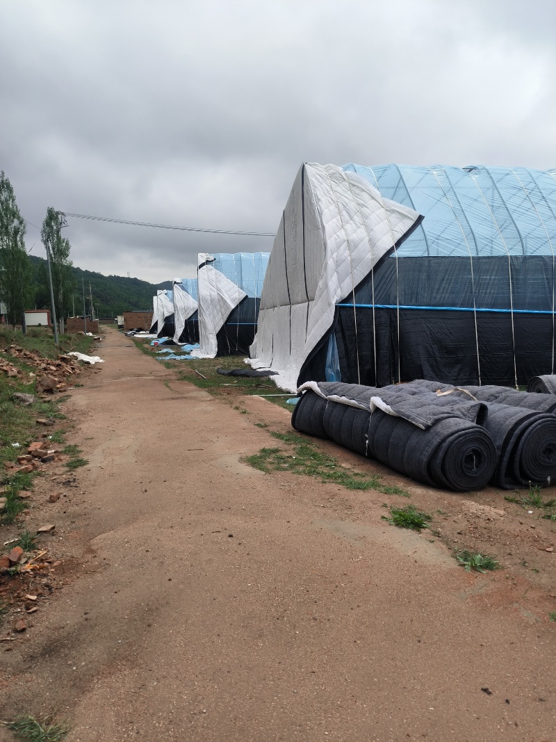 抗老化大棚保温棉被轻型防雨棉被工程土建温室保温被子