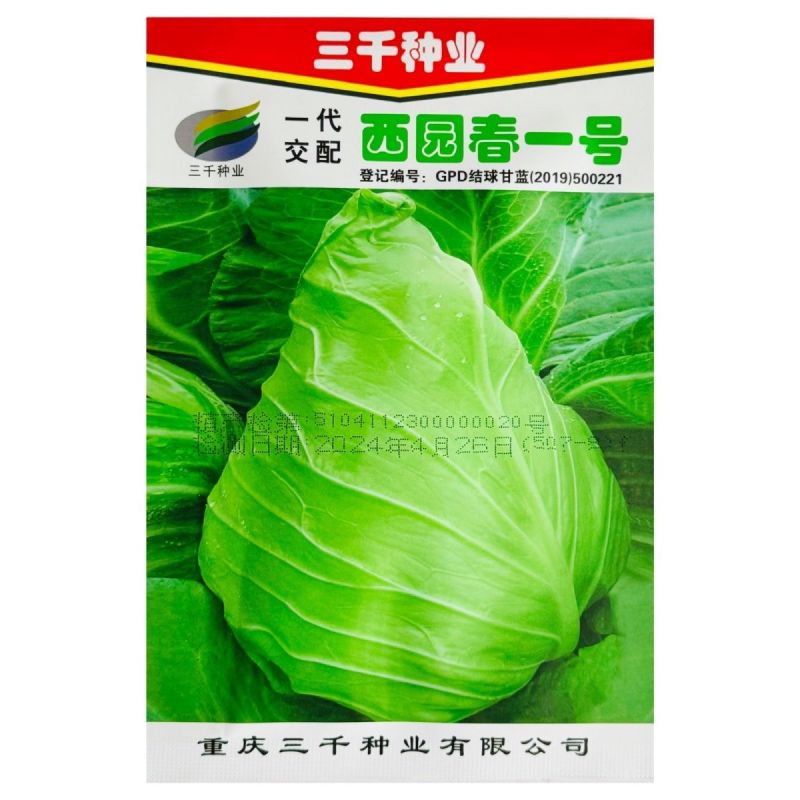 西园春1号牛心甘蓝种子春秋甘蓝早熟耐抽薹牛心包菜种籽高产