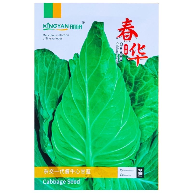 春华瘦牛心甘蓝种子细牛心甘蓝种子早熟耐寒包菜种籽翠绿甘甜