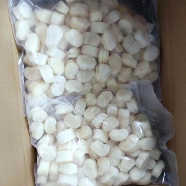 单冻带子肉精选江瑶贝柱江瑶贝加工鲜贝柱1KG*15