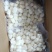 单冻带子肉精选江瑶贝柱江瑶贝加工鲜贝柱1KG*15
