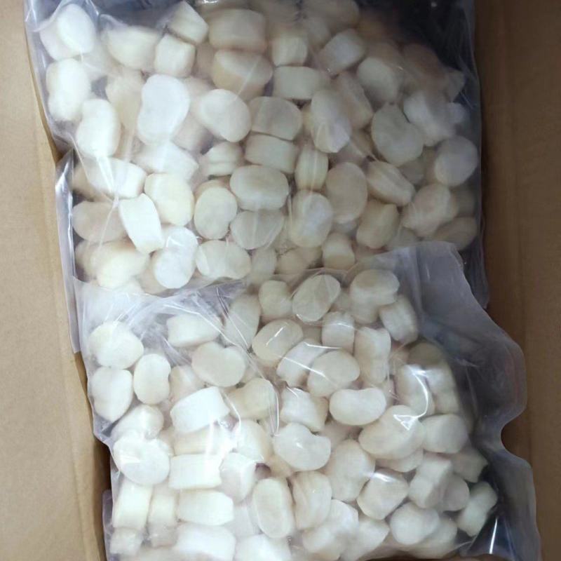 单冻带子肉精选江瑶贝柱江瑶贝加工鲜贝柱1KG*15