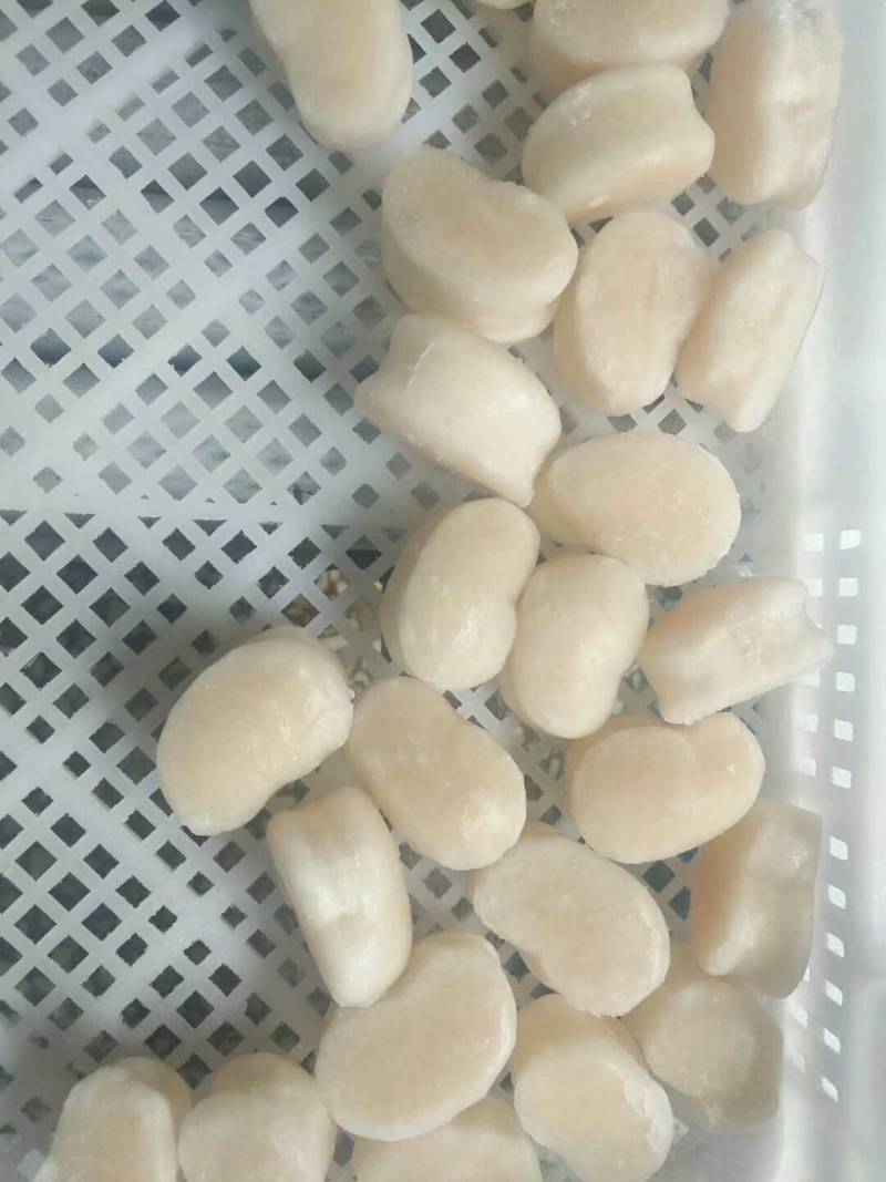 单冻带子肉精选江瑶贝柱江瑶贝加工鲜贝柱1KG*15