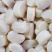 单冻带子肉精选江瑶贝柱江瑶贝加工鲜贝柱1KG*15
