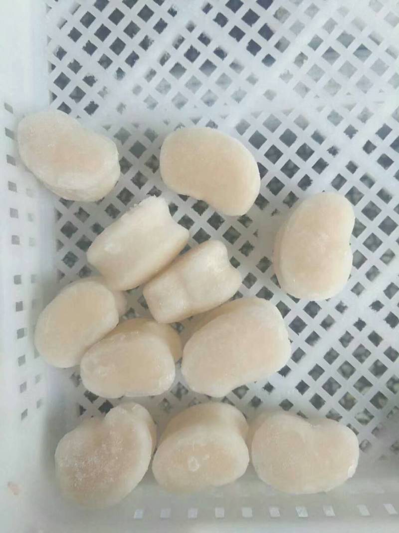 单冻带子肉精选江瑶贝柱江瑶贝加工鲜贝柱1KG*15