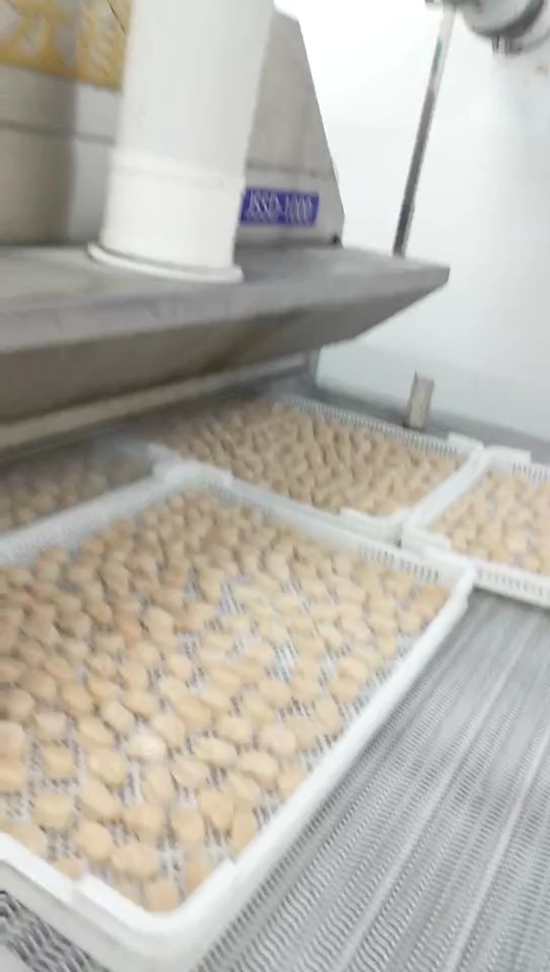 单冻带子肉精选江瑶贝柱江瑶贝加工鲜贝柱1KG*15
