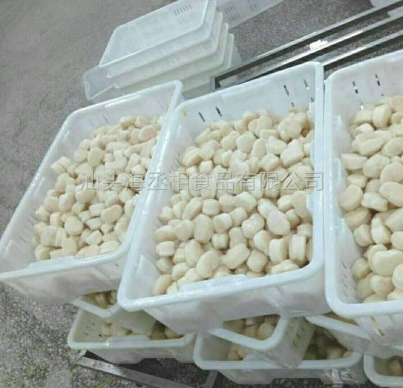 单冻带子肉精选江瑶贝柱江瑶贝加工鲜贝柱1KG*15