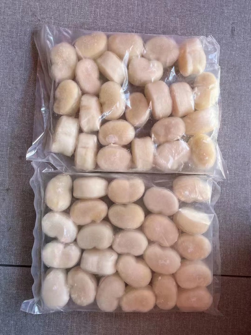 单冻带子肉精选江瑶贝柱江瑶贝加工鲜贝柱1KG*15