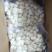 单冻带子肉精选江瑶贝柱江瑶贝加工鲜贝柱1KG*15