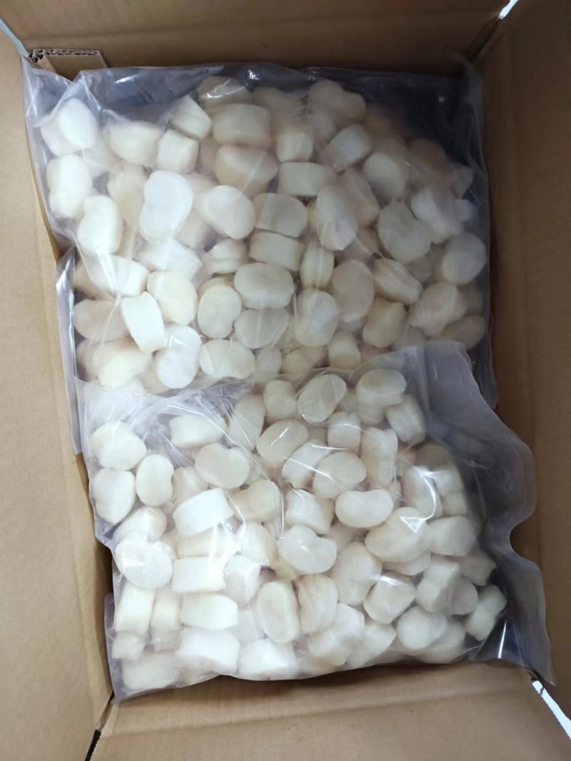 单冻带子肉精选江瑶贝柱江瑶贝加工鲜贝柱1KG*15