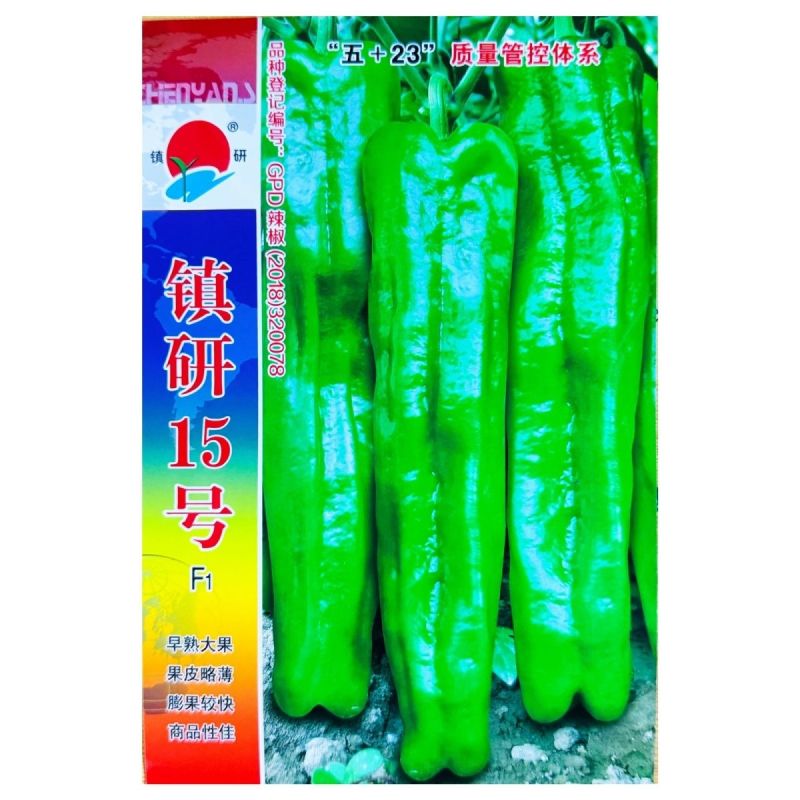 镇研15号辣椒种子早熟抗病高产薄皮辣椒种籽大果牛角椒青椒