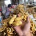 山东大黄姜二黄姜小黄姜精品红牙鲜姜姜母大量上市