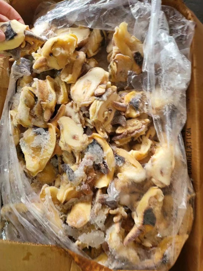 黄金鲍螺唇鲍螺嘴海螺嘴冻螺唇原料版冻螺肉