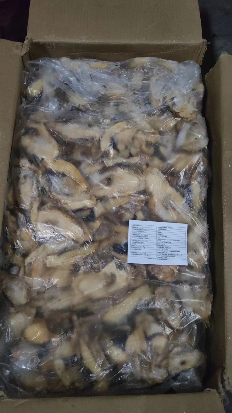 黄金鲍螺唇鲍螺嘴海螺嘴冻螺唇原料版冻螺肉