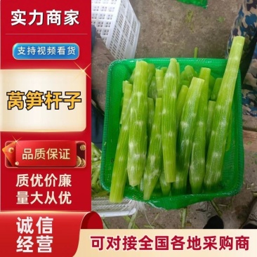 精品莴笋杆子莴苣山东莴笋产地直发对接全国商超市场