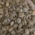 纯大豆发酵肥活化土壤改善土壤板结促进根系生长