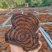 广西鸡血藤，薄片，锯片，价格实惠，***晒制，泡酒，泡茶