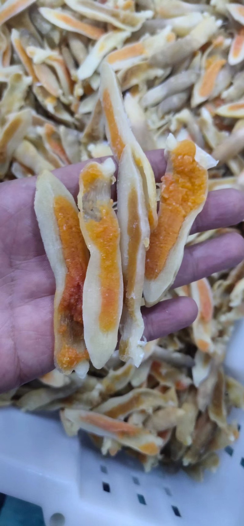 开边蛏子王200g*24盘精选去脏竹蛏子竹蛏王海蛏子头