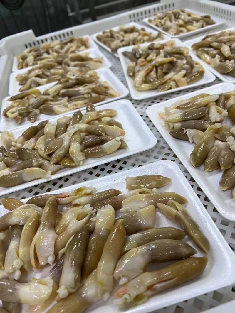 开边蛏子王200g*24盘精选去脏竹蛏子竹蛏王海蛏子头