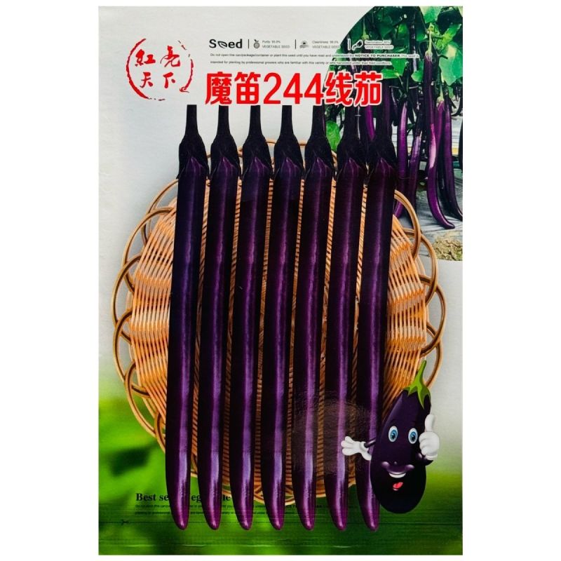 魔笛244线茄种子早熟长线茄子种籽皮薄采收期长耐热抗病