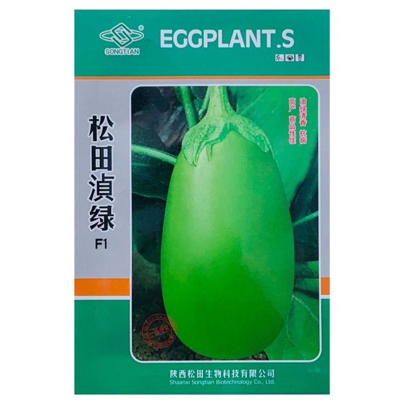 松田浈绿茄子种子油绿长圆茄种籽早熟大果茄子抗病强春秋基地