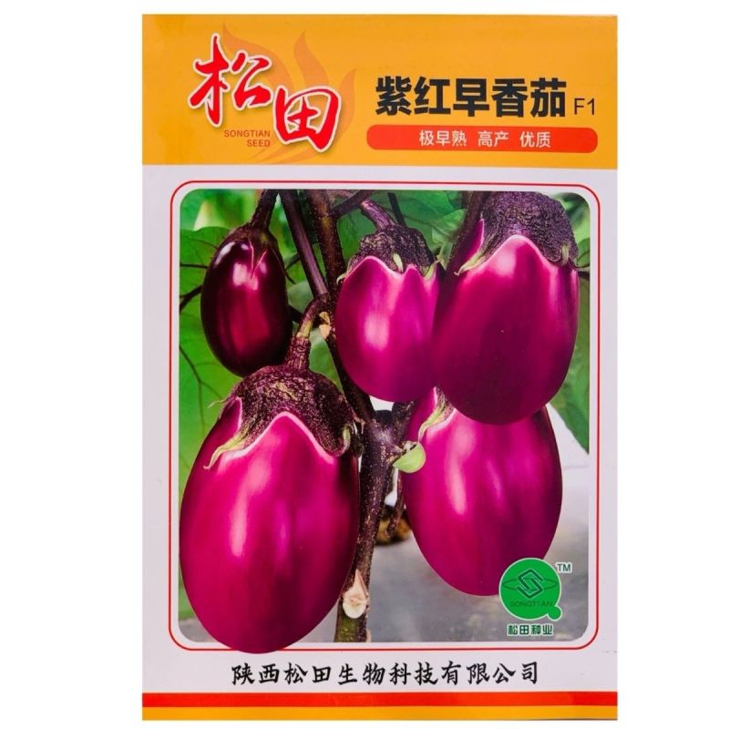 松田紫红早香茄茄子种子早熟高产抗病耐寒紫黑圆茄种籽大田用