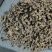贵州深山老林野生多花倒苗姜型甜黄精
