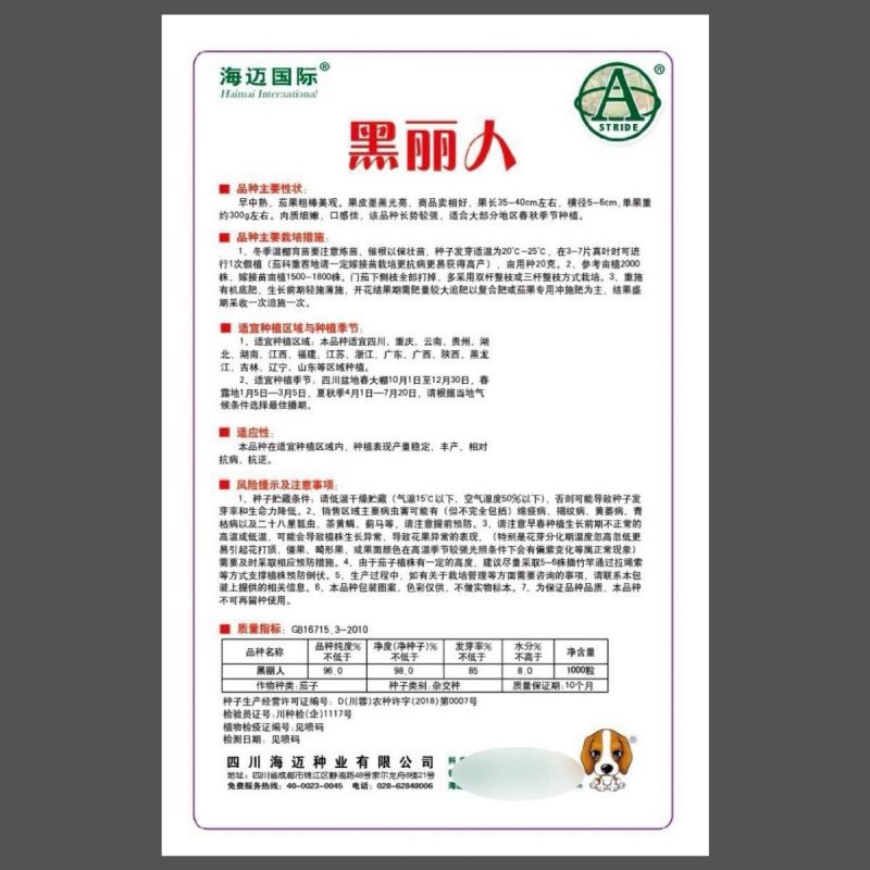 黑丽人杂交长棒茄子种子墨茄种籽棒形美观条形顺直中早熟春秋