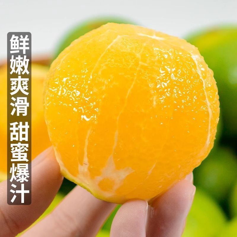 湖南麻阳冰糖橙品质保证规格齐全量大价优次果便宜40以上