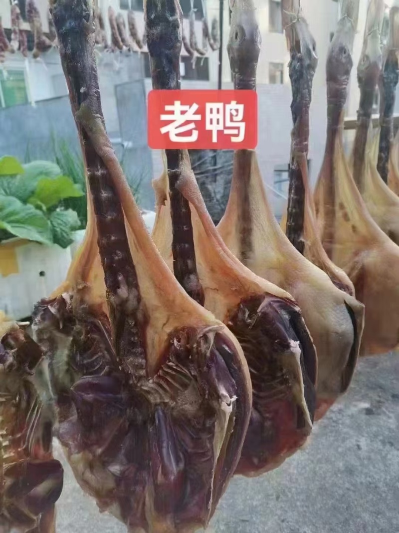 老腊鸭