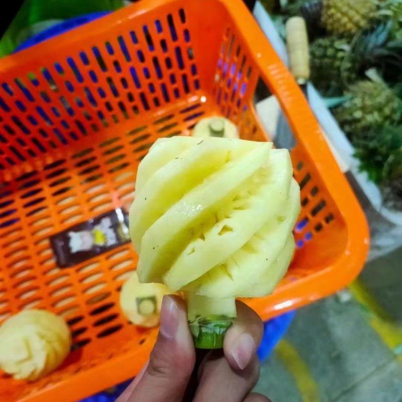 菠萝基地直发且常年加工可供商超市场欢迎各位洽谈合
