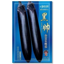 黑帅杂交长棒茄子种子早中熟基地种植专用耐贮运墨黑春秋大田