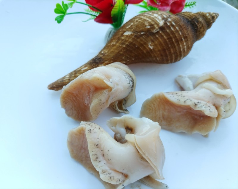 翡翠螺头白螺肉海丞相螺头海螺肉精加工螺头