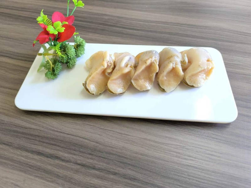 翡翠螺头白螺肉海丞相螺头海螺肉精加工螺头