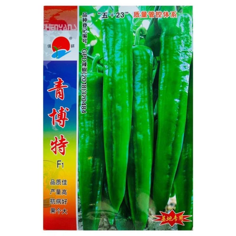 镇研青博特辣椒种子青皮尖椒种籽牛角形肉厚辣味中等大田基地