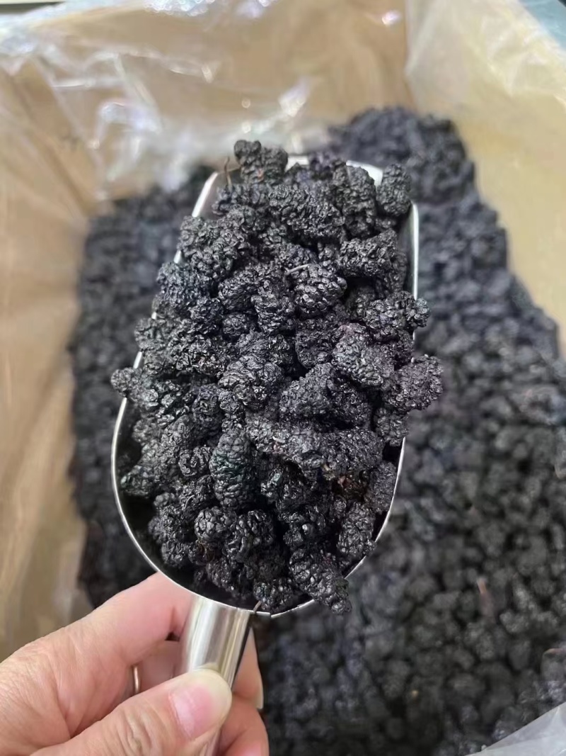 桑葚干
