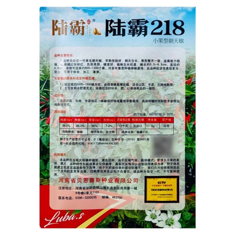 陆霸218小果型朝天椒种子早熟高产抗病果型美观整齐硬度好