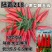 陆霸218小果型朝天椒种子早熟高产抗病果型美观整齐硬度好