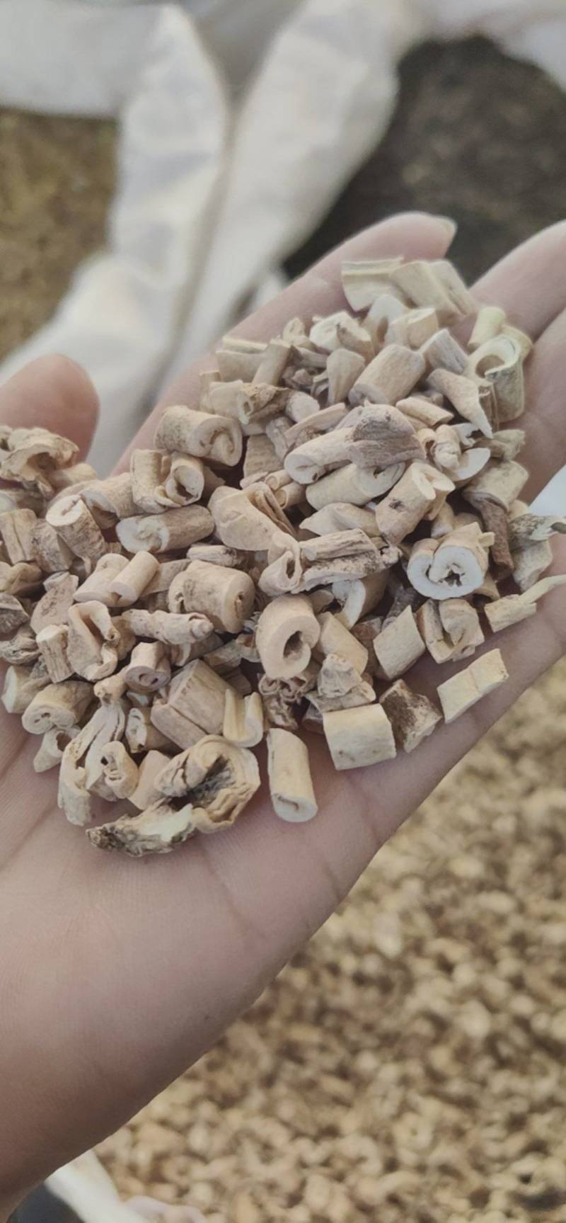 白鲜皮白鲜皮中药材白鲜皮产地货源，品质保证