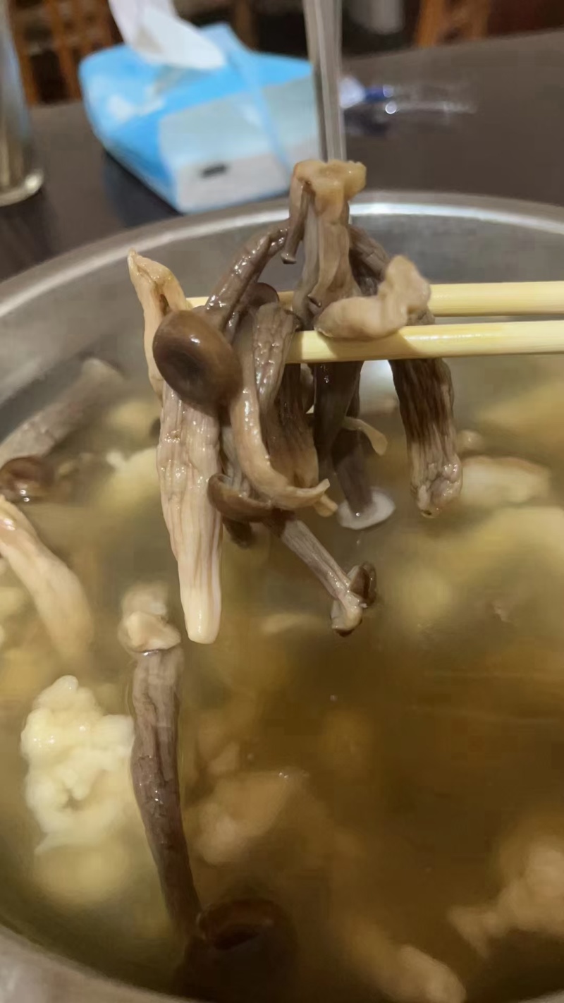 A级鹿茸茹，一件10斤。开展销会，摆地摊畅销产品。
