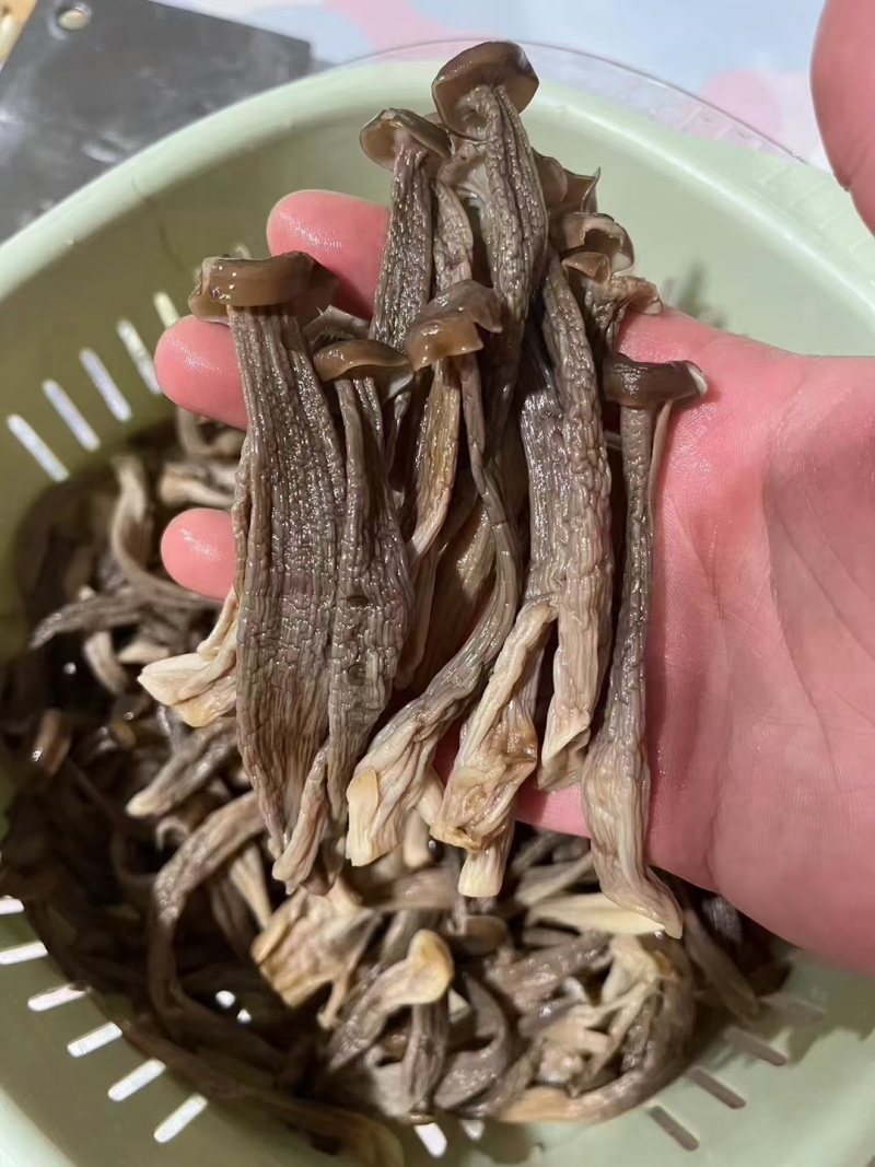 A级鹿茸茹，一件10斤。开展销会，摆地摊畅销产品。