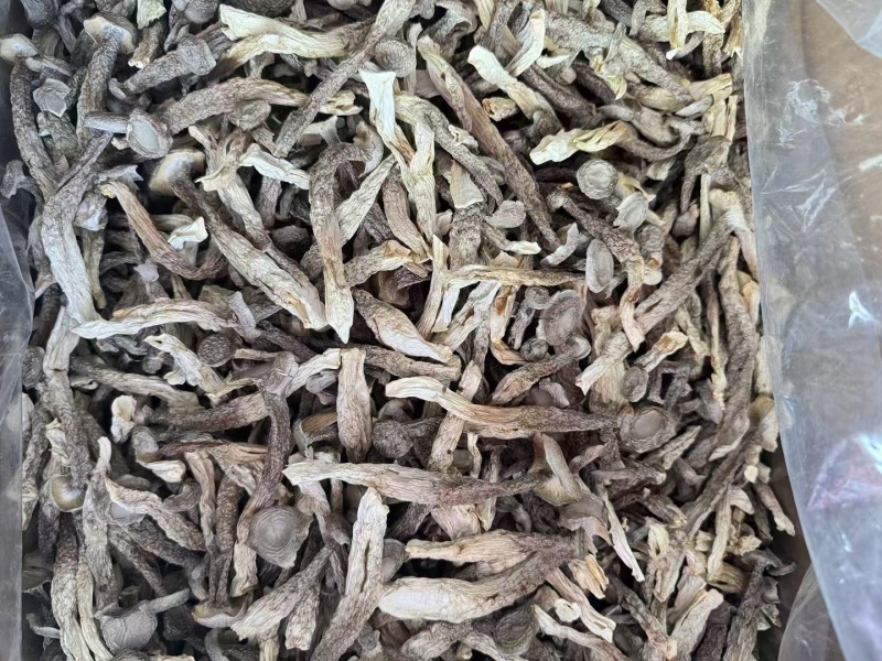 A级鹿茸茹，一件10斤。开展销会，摆地摊畅销产品。