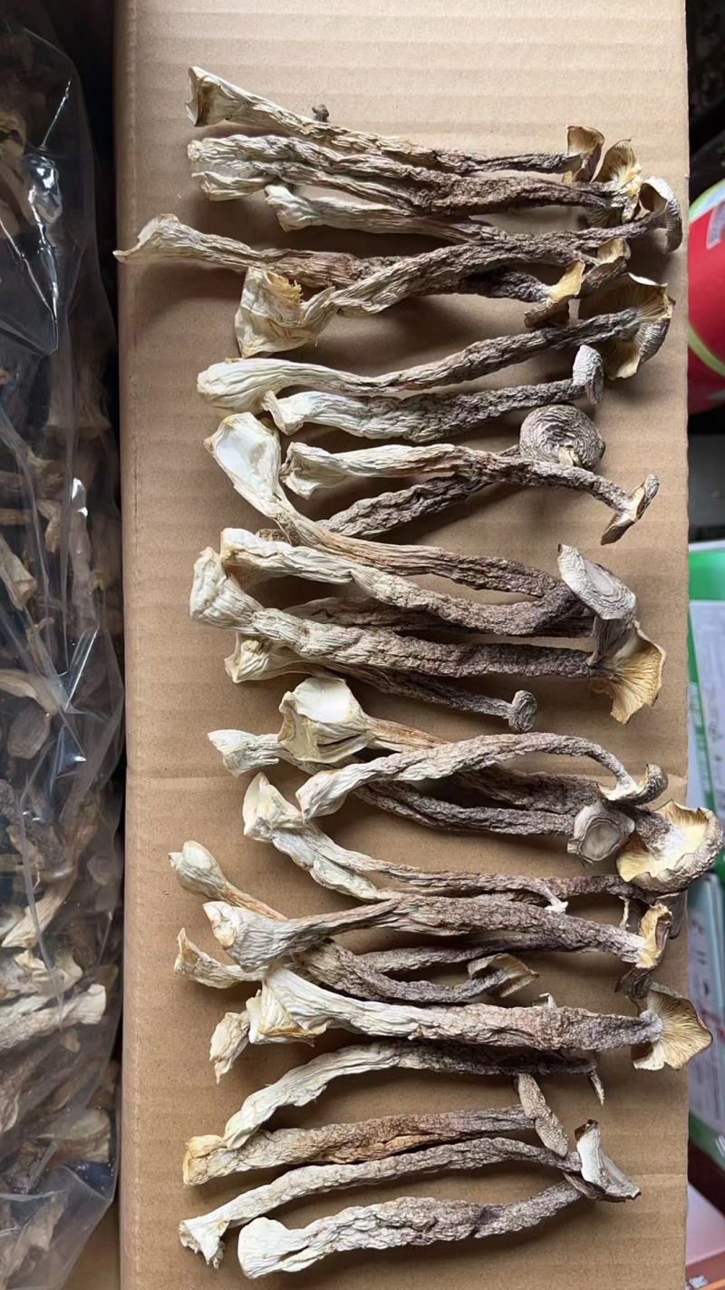 A级鹿茸茹，一件10斤。开展销会，摆地摊畅销产品。