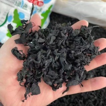 裙带菜