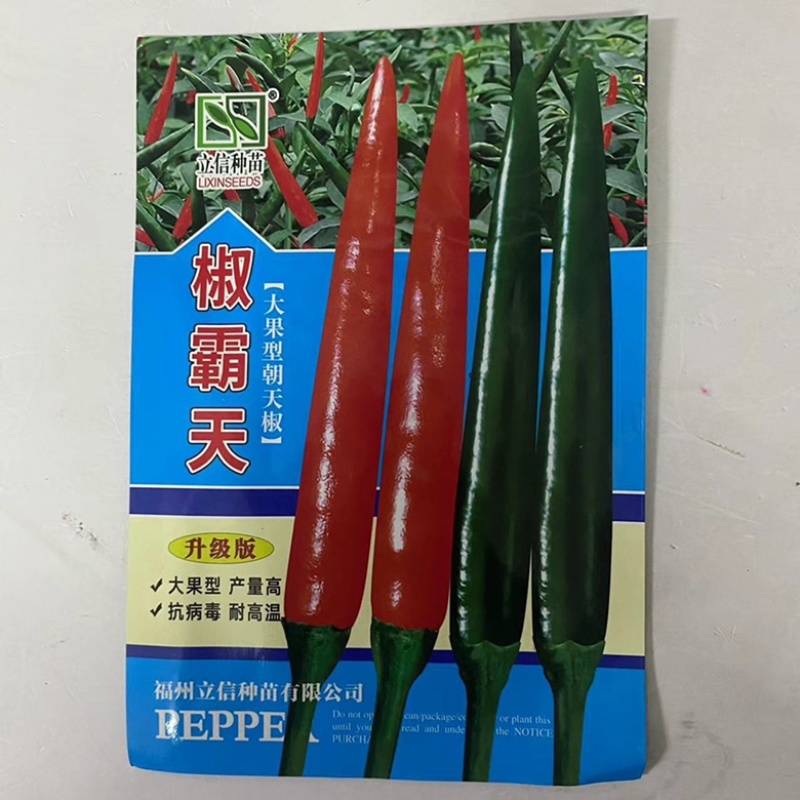 富乔三号朝天椒种子晚熟品种泰系进口品种种子
