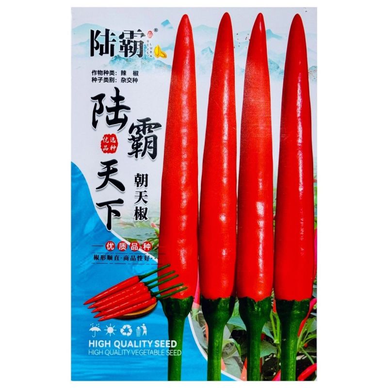 陆霸天下大果朝天椒种子中早熟抗热耐湿抗病座果率高长把辣椒