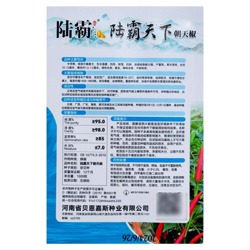 陆霸天下大果朝天椒种子中早熟抗热耐湿抗病座果率高长把辣椒