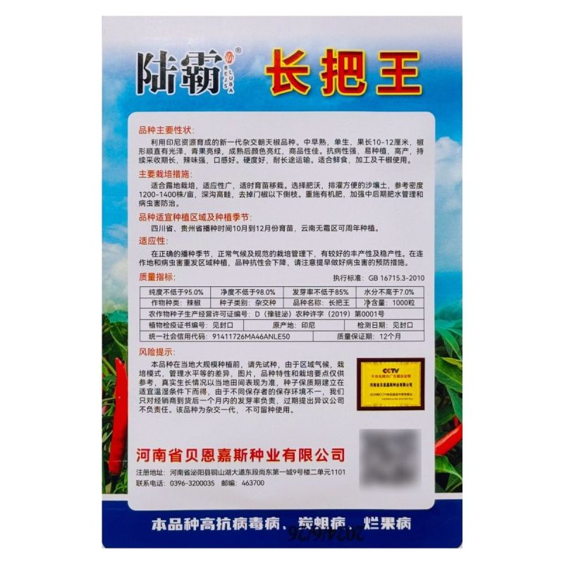陆霸长把王大果朝天椒种子硬果抗病中早熟辣椒种籽高抗炭蛆烂