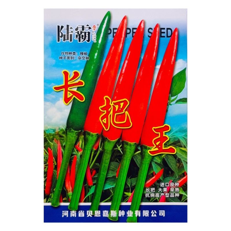陆霸长把王大果朝天椒种子硬果抗病中早熟辣椒种籽高抗炭蛆烂
